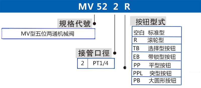 MV522 拷贝.jpg