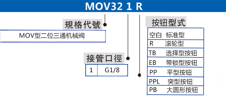 MOV32 拷贝.jpg