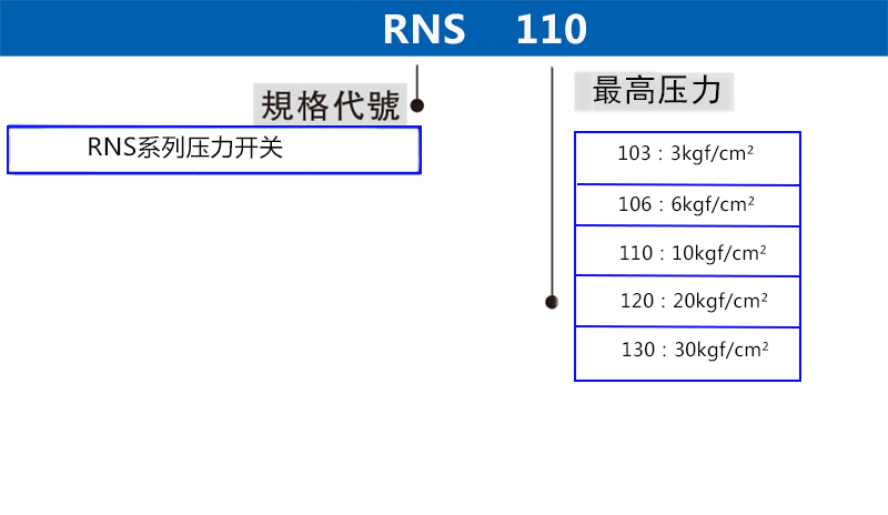 ns 拷贝副本.jpg