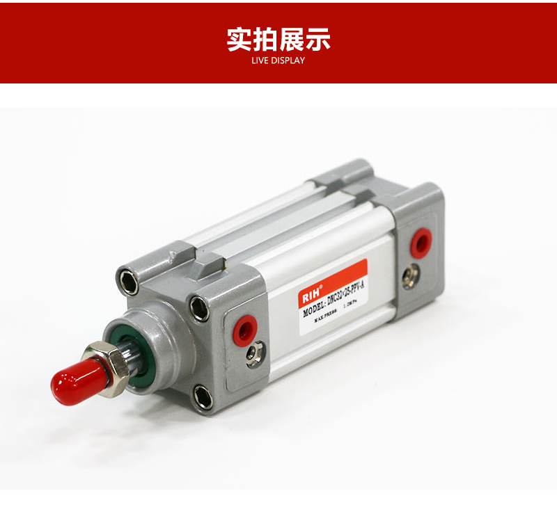 DNC标准气缸.jpg
